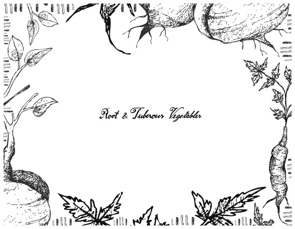 El çizilen çerçeve Jicama veya Arracachaon