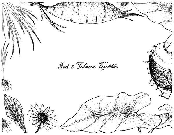 El çizilmiş kare kök ve tüberoz sebze 