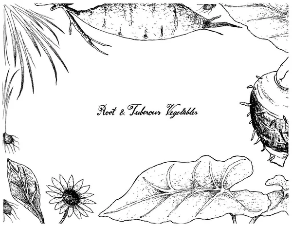 Hand getekende Frame van wortel en Tubereuze groenten — Stockvector