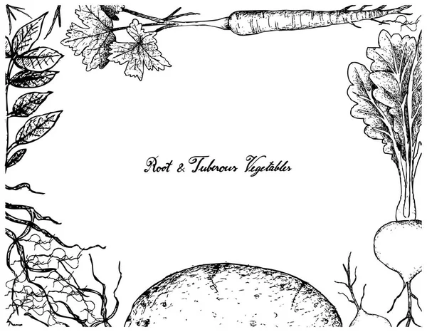 El çizilmiş kare kök ve tüberoz sebze 