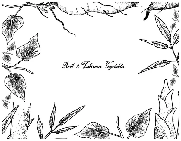 Tatlı patates ve bambu sürgün el çizilen çerçeve