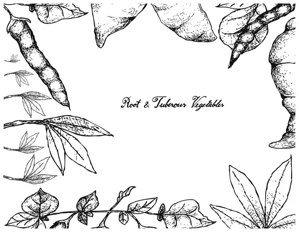 Hand Drawn Frame of Fresh Cassava and Ahipa — Stock Illustration Hand Drawn Frame of Fresh Cassava and Ahipa Royalty Free Stock Vectors