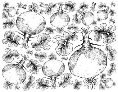 Elle İsveçli beyaz arka plan üzerinde çizilmiş