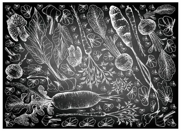 Disegnato a mano di Radici e Verdure Tuberose su Lavagna — Vettoriale Stock