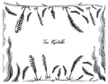 El çizilen çerçeve Kombu ve deniz yosunu