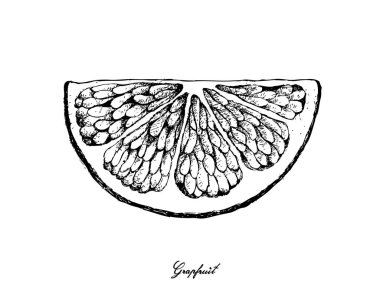 Elle greyfurt meyvesi beyaz arka plan üzerinde çizilmiş