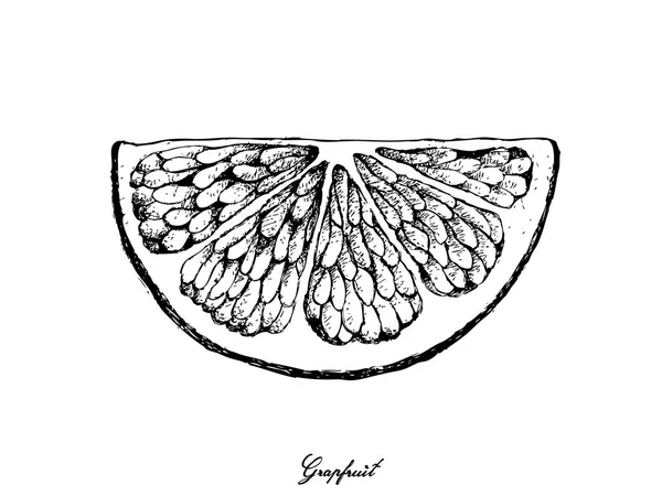 Dibujado a mano de fruta de pomelo sobre fondo blanco — Vector de stock