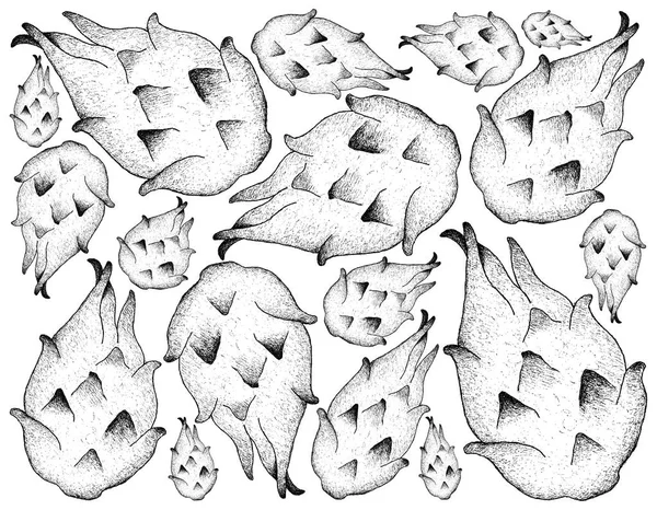 Рисунок спелых плодов дракона — стоковое фото
