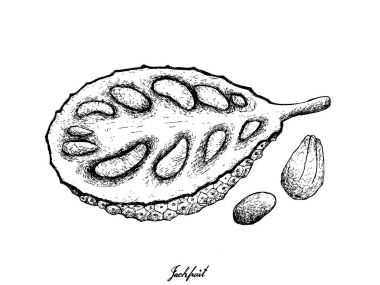 Elle olgun nefesi beyaz arka plan üzerinde çizilmiş