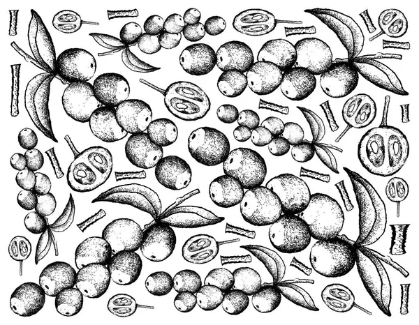 Disegnato a mano di Camu Camu Frutta su sfondo bianco — Vettoriale Stock