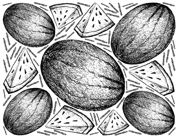 Disegnato a mano di anguria fresca su sfondo bianco — Vettoriale Stock