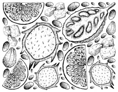 Hand Drawn of Jackfruit, Dragon Fruit and Grapefruit Background clipart