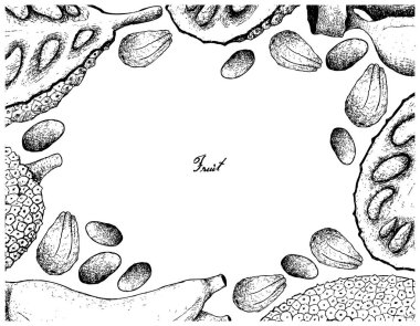 El çizilen çerçeve olgun nefesi ve muz arka plan