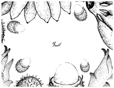 El çizilen çerçeve beyaz zemin üzerine taze meyve