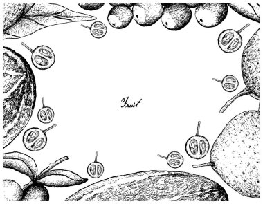 El çizilen çerçeve beyaz zemin üzerine taze meyve