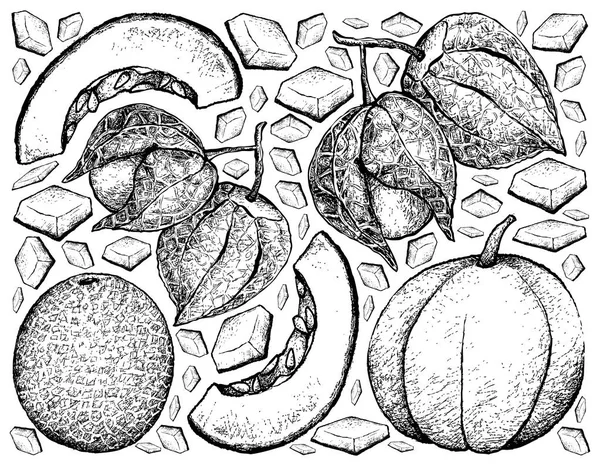 甜瓜和角醋栗的手绘背景 — 图库矢量图片