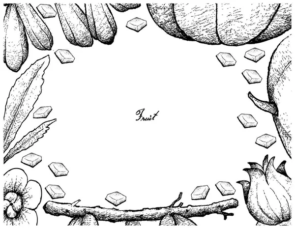 Marco dibujado a mano de frutas frescas sobre fondo blanco — Vector de stock