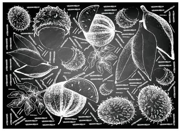Ručně kreslenou čerstvého ovoce na tabuli — Stockový vektor