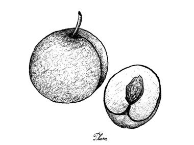 Elle taze Erik beyaz arka plan üzerinde çizilmiş