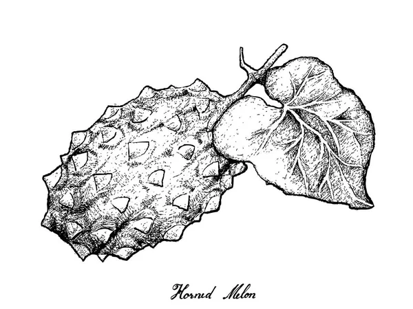 Dibujado a mano de melón con cuernos o kiwano — Vector de stock