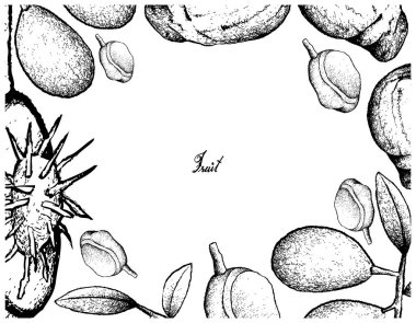 El Ambarella ve kırmızı Mombin meyve çizilen çerçeve