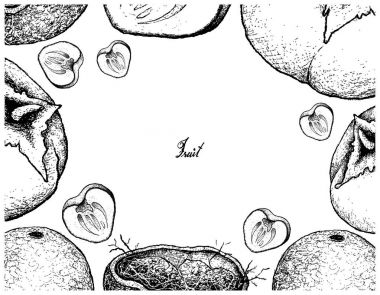 Elle çizilmiş çerçeve ahşap Apple ve Trabzon hurması