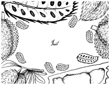 El Soursop ve Durian meyve çizilen çerçeve