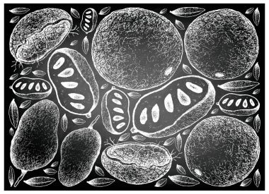 El pençe-pençe ve ahşap elma kara tahta çekilmiş