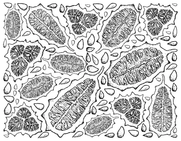 Ręcznie rysowane tła ogórek kiwano lub Kiwano — Wektor stockowy