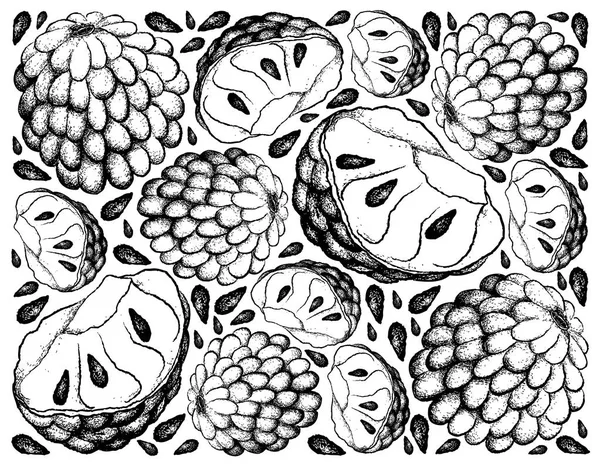 Fondo dibujado a mano de la manzana natillas maduras — Archivo Imágenes Vectoriales