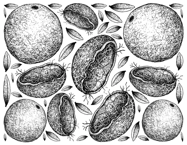 Fondo dibujado a mano de frutas de manzana de madera — Vector de stock