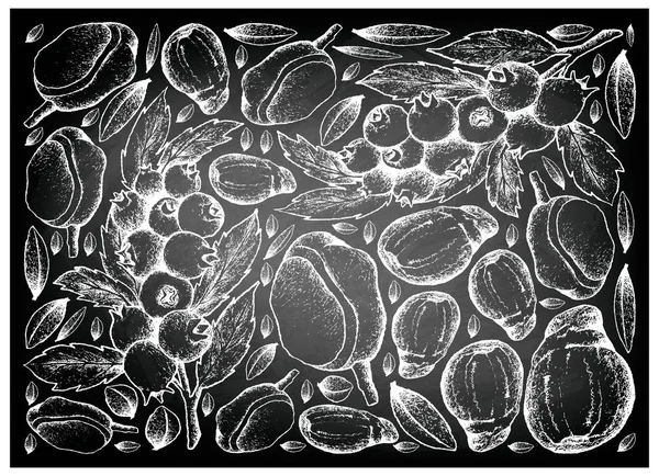 ブルーベリーと赤 Mombin の黒板に描かれた手 — ストックベクタ