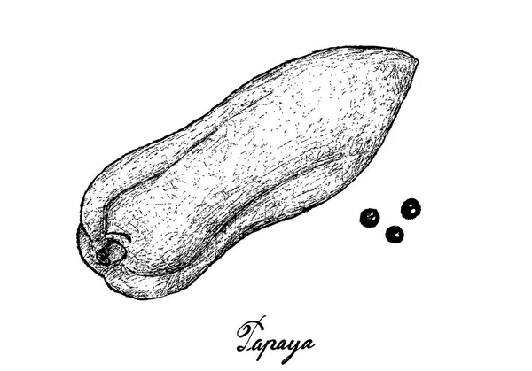 Dibujado a mano de papaya fresca sobre fondo blanco — Archivo Imágenes Vectoriales
