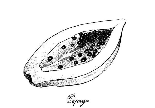 Dessiné à la main de papaye fraîche sur fond blanc — Image vectorielle
