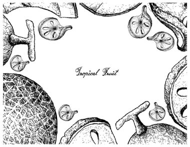 El çizilen çerçeve Bael ve kavun meyve