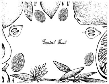 Kireç ve Canistel meyve el çizilen çerçeve
