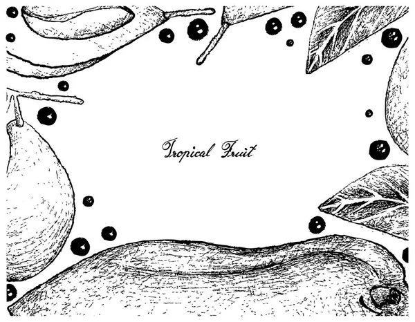 Marco dibujado a mano de papaya fresca y ciruela mariana — Vector de stock
