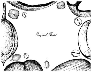 El çizilen çerçeve Çift Hindistan cevizi ve Mamoncillo meyve