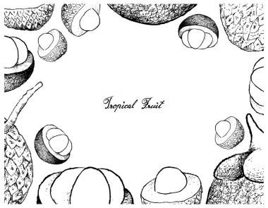 Lychee ve mangosten meyve el çizilen çerçeve
