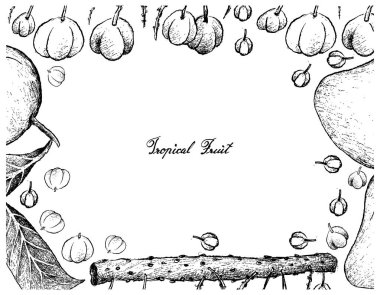 El çizilen çerçeve Otaheite bektaşi üzümü ve Mango meyve