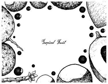 El çizilen çerçeve Longan ve püresi Sapote meyve