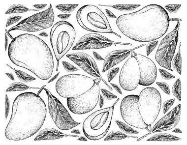 Mango ve Marian Plum meyve çizilmiş arka plan el