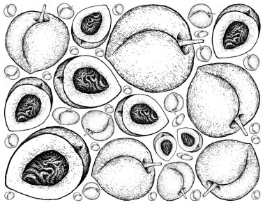 Şeftali veya kuru soğan meyve arka el çekilmiş