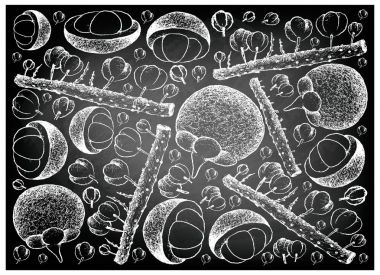 El Otaheite bektaşi üzümü ve Mangosteen kara tahta çekilmiş