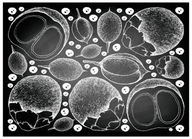 Elle şeker Palm ve Mamoncillo meyveler kara tahta çizilmiş