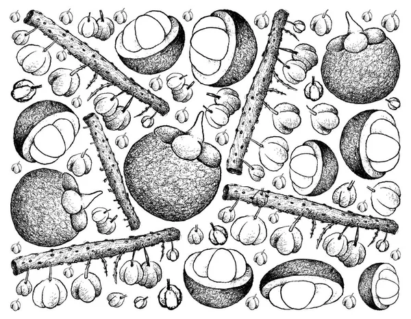 Ručně kreslených pozadí Otaheite angrešt a mangostanu — Stockový vektor