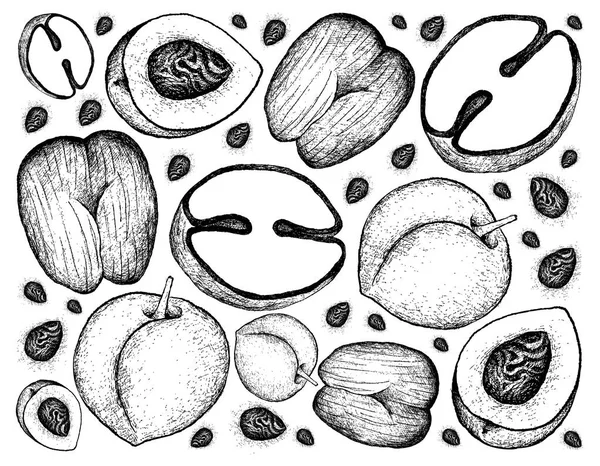 手描きの背景桃とダブル ココナッツ フルーツ — ストックベクタ