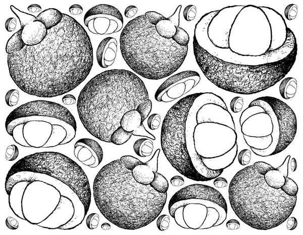 Sfondo disegnato a mano di frutta fresca viola — Vettoriale Stock