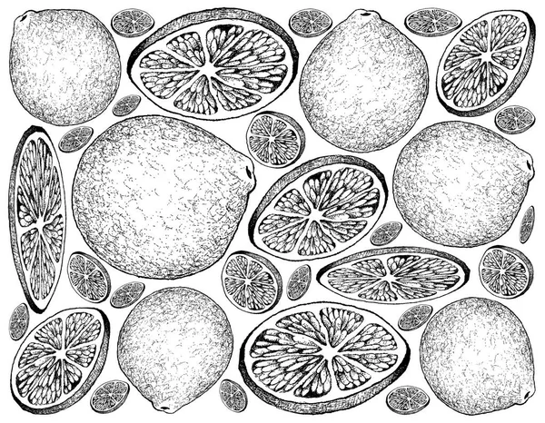 Hand Drawn Background of Fresh Lime Fruits — Stock Photo, Image