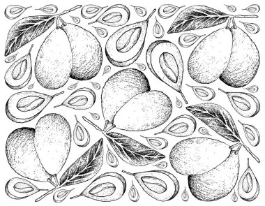 Elle çizilmiş arka plan taze Marian Erik